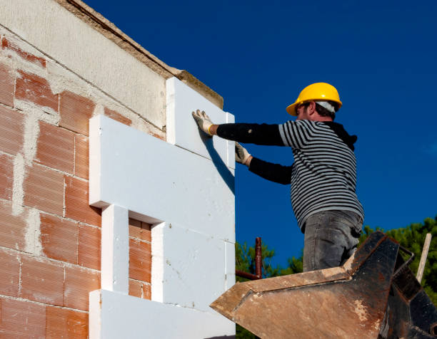 Best Home Insulation Services  in Big Lake, TX