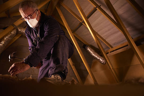Best Affordable Insulation Services  in Big Lake, TX